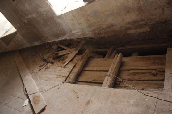 Seminář seznámí účastníky jak bojovat proti dřevokazným škůdcům 