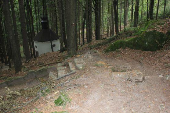 Turistická cesta z Křinic na Hvězdu je poničená těžbou dřeva. Lesy ČR slíbily nápravu 