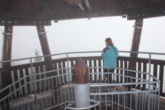 Rozhlednu při slavnostním otevření zahalila mlha. "Aspoň budete mít důvod, přijít sem ještě jednou," komentoval starosta Milan Brandejs