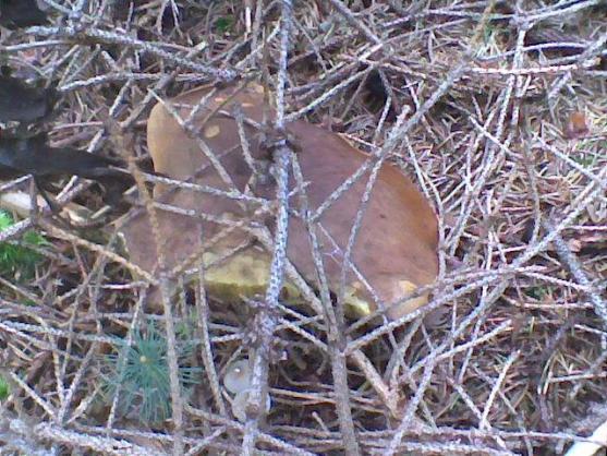 Nabídka akcí na Boumovsku pro víkend od 22. do 24. srpna