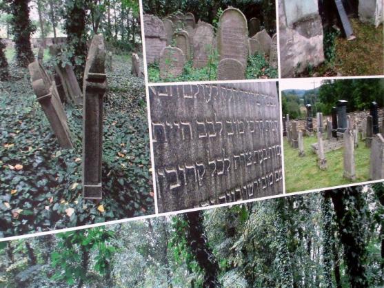 Historické hřbitovy očima návštěvníka výstavy 