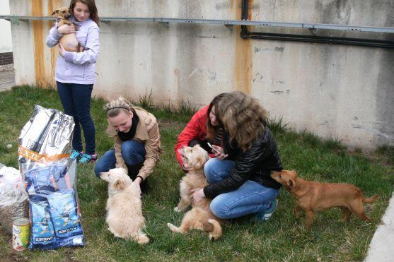 Děti z Červeného Kostelce obdarovaly broumovský útulek