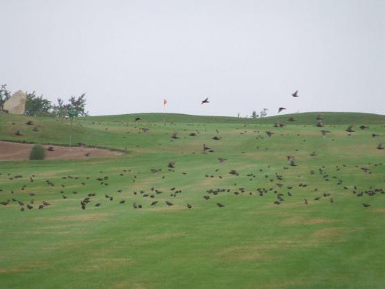 Golfové hřiště Grosshof je v České republice hodně ceněné