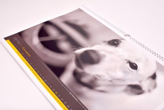 V prodeji je kalendář, který finančně podpoří psí útulek v Broumově