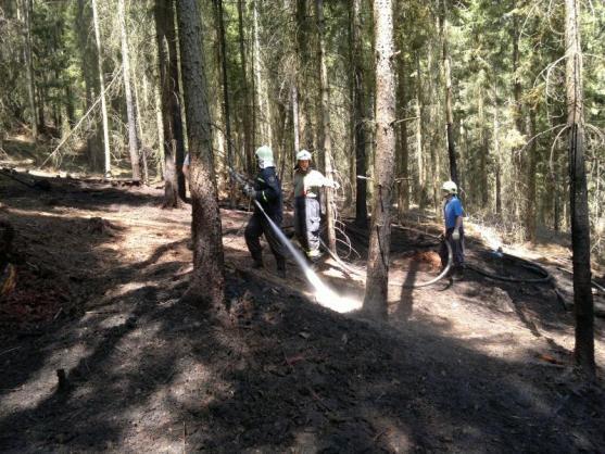 Hasiči likvidovali požár lesního porostu u Ruprechtického Špičáku