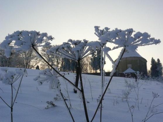 Chcete zimu? Přivolejte ji! 