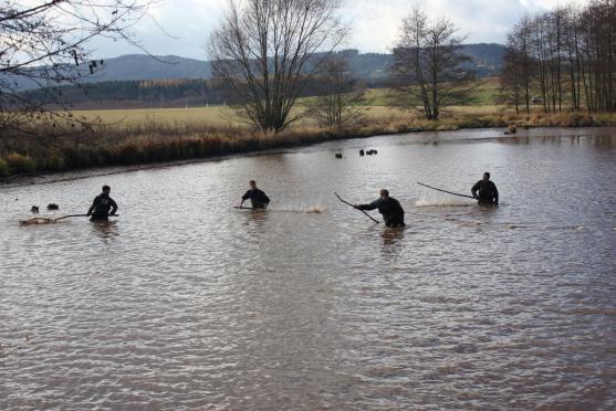 Ryby z rybníku v Hejtmánkovicích lovili hasiči