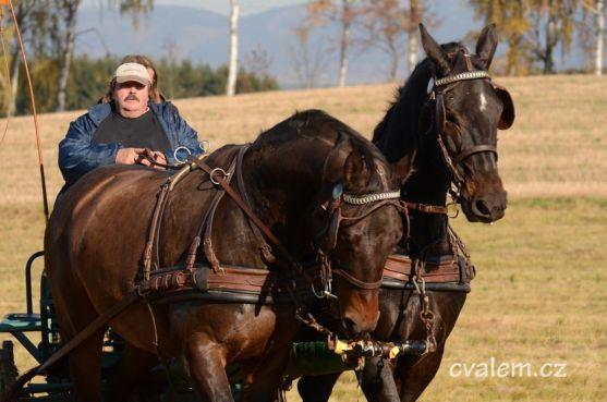 Na jetřichovskou Hubertovu jízdu vyjelo 67 koní