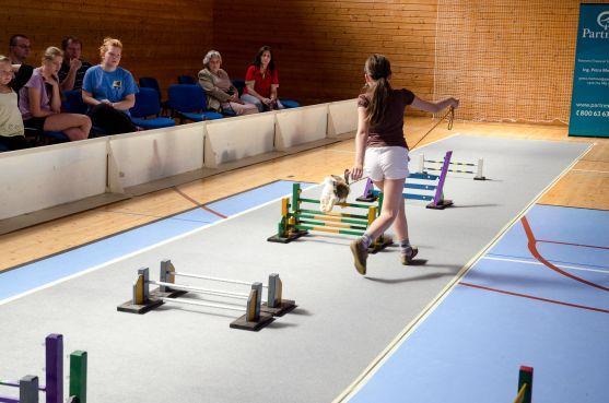 V Broumově závodili králíci 