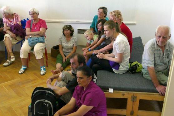 Na výstavě Petra Stibrala se návštěvník ocitá uprostřed lesa 