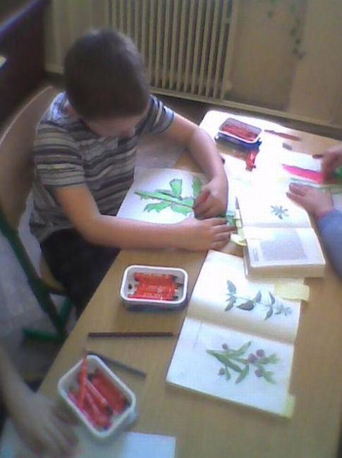 Žáci Základních škol z Meziměstí a Broumova - Olivětína poznávají krajinu, historii a květenu Broumovska