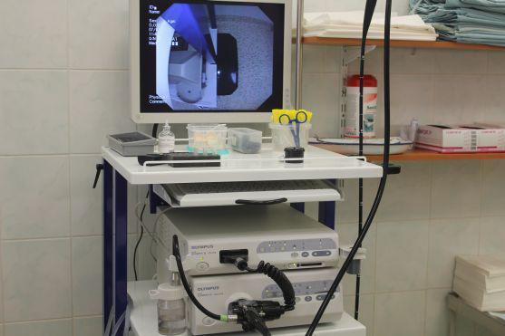 K vyšetření zažívacího traktu používají v broumovské nemocnici moderní endoskopickou techniku