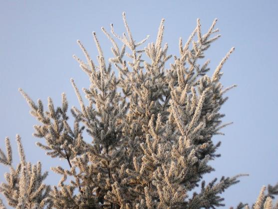 Největší mráz v České republice byl tuto noc v Adršpachu