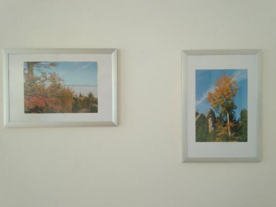 Malby a fotografie na výstavě v Polici nad Metují