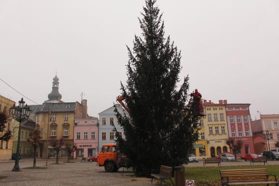 Vánoční stromy ve městech a obcích jsou připraveny na rozsvícení