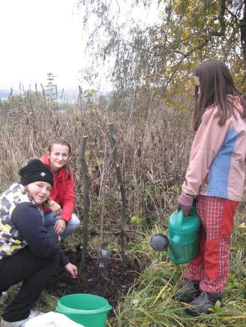 Broumovské sdružení Stromodění se přidalo k celorepublikovému happeningu v sázení stromů