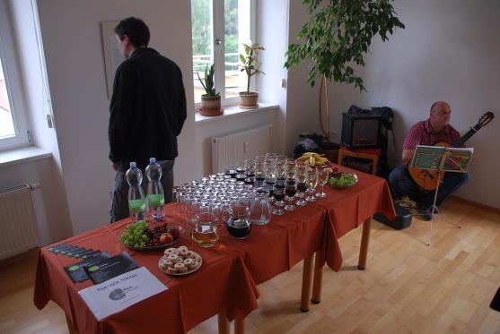 Na Terase Pellyho domů vystavuje Síň slávy Alžběta Čechová 