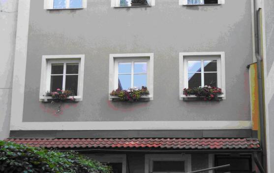 Absolutní vítězkou 1. ročníku soutěže Rozkvetlý Broumov se stala Jana Francová