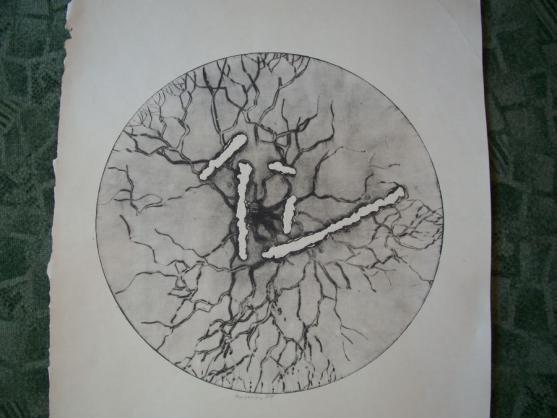 V Polici nad Metují chystají výstavu připomínající okupaci Československa vojsky Varšavské smlouvy v roce 1968 