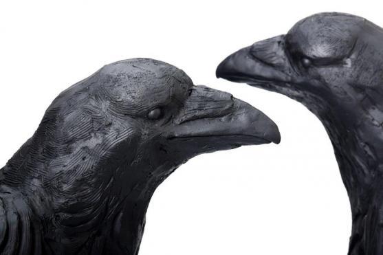 V Polici nad Metují bude vystavovat Paulina Skavova 