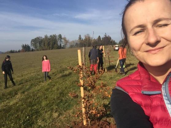 Stromodění vysázelo 50 stromů