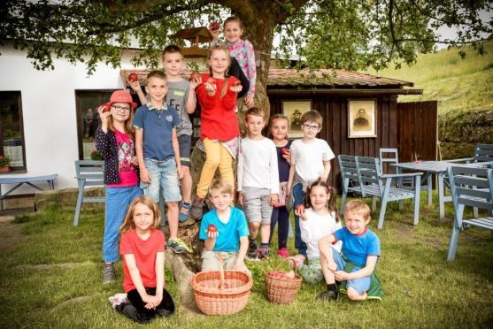 Jabloň u Lidmanů z Machova soutěží o titul Strom roku 