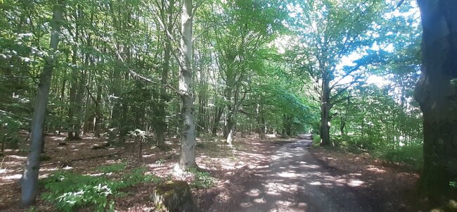 Pohádkové vodopády pod Hejšovinou