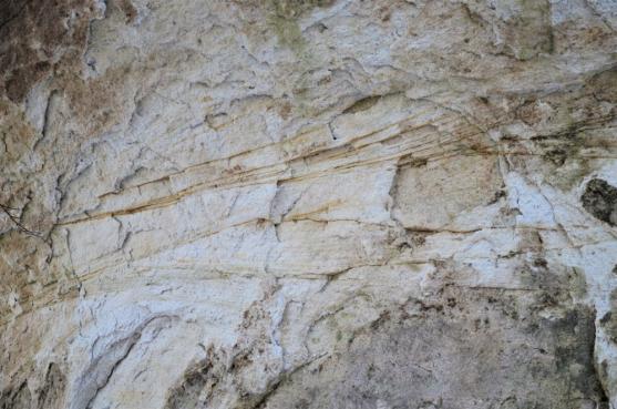 Zimní výšlap k Mořské transgresi