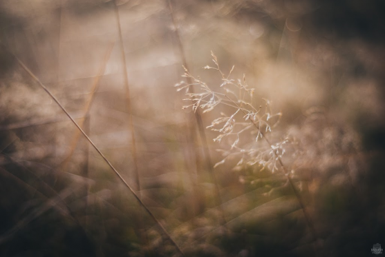 Tvář a vous absolventa broumovského gymnázia dominují článku v MF Dnes