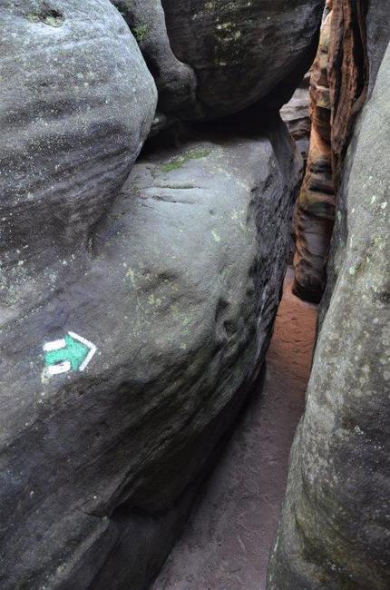 Z Police nad Metují přes stolový vrch Ostaš k pískovcovým sloupkům v České Metuji