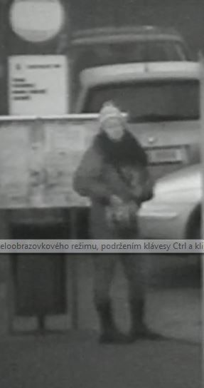 Policisté žádají ženy a dívky o svědectví