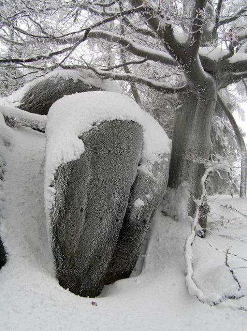 XVI. Český zimní sraz turistů a 52. Slovenský zimní sraz turistů