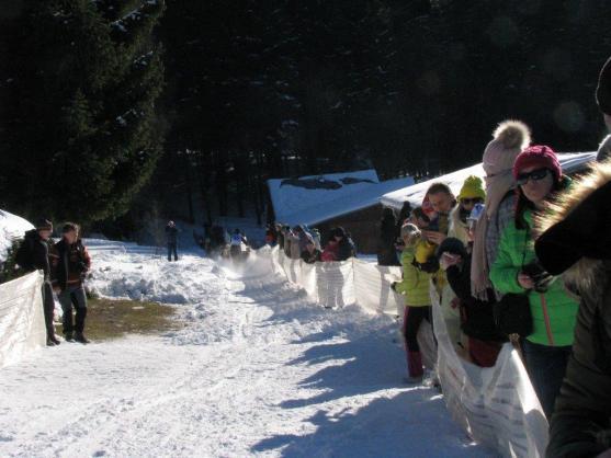 Změna místa závodům psích spřežení neuškodila. Naopak!