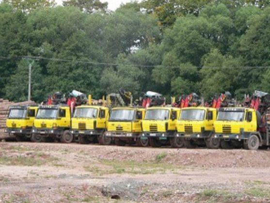 Broumovští lesníci si pochvalují spolupráci s Poláky 