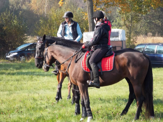 Všichni přátelé koní zvou na tradiční Hubertovy jízdy 