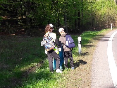 Skauti opět uklízeli les kolem silnice přes Pasa