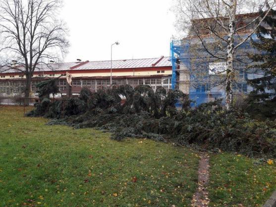 Hasiči na Broumovsku kvůli větru řešili desítky případů