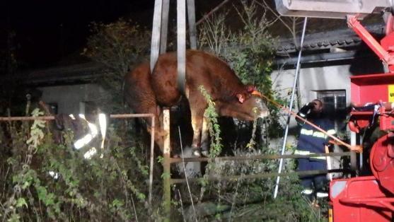 Silvestrovské ohlédnutí za zásahy hasičů v Královéhradeckém kraji v roce 2017