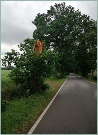 Jakou cenu mají lidské životy?