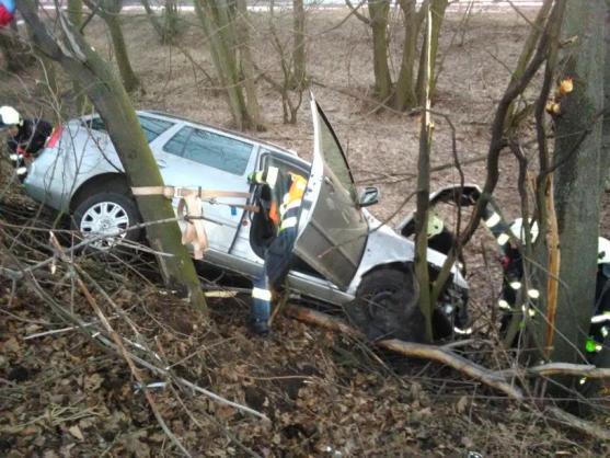 "Tragickým následkům dopravních nehod nejlépe zabrání prevence, nikoliv plošné kácení stromů," tvrdí nezisková organizace Arnika