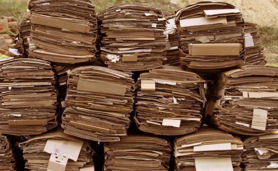 Systém třídění odpadů ve Stárkově funguje