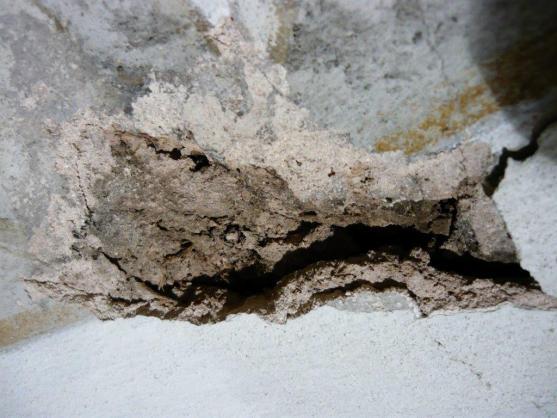 Pomozte se záchranou fresky v kostele v Heřmánkovicích