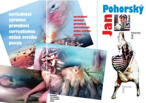 Výstavu Okuje ještě žhavé v undergroundovém klubu Eden uvedl básník Jaroslav Erik Frič