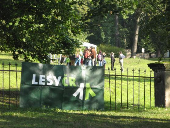 Ohlédnutí za Dětským dnem s Lesy České republiky