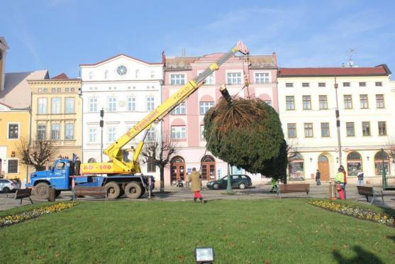 Broumovský vánoční strom je na místě. Rozsvítí se v neděli