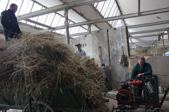 V Martínkovicích se mlátilo obilí postaru