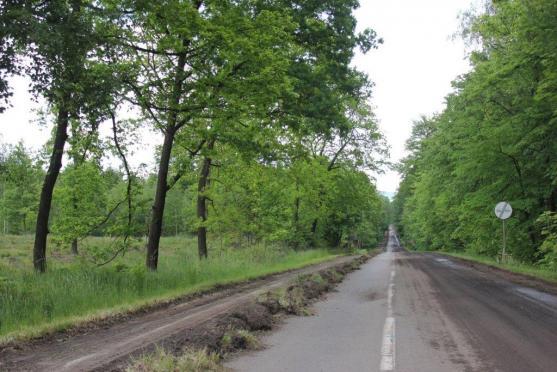 Za deset týdnů se z Broumova bude jezdit po nové silnici. Náklady na rekonstrukci jsou nižší