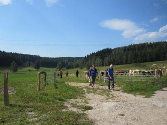 Teplicko - adršpašskou 33 šlo rekordních 828 účastníků