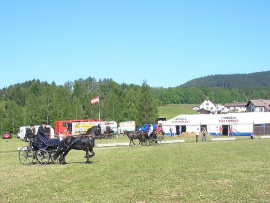 Ředitel závodů spřežení v Polici nad Metují o jejich budoucnosti i vzniku