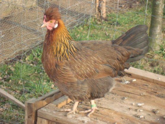 Přiložit ruku k dílu - rozhovor s klavíristou Matyášem Novákem 